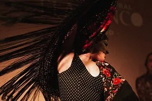 Centro Cultural Flamenco Madrid Admission Ticket 